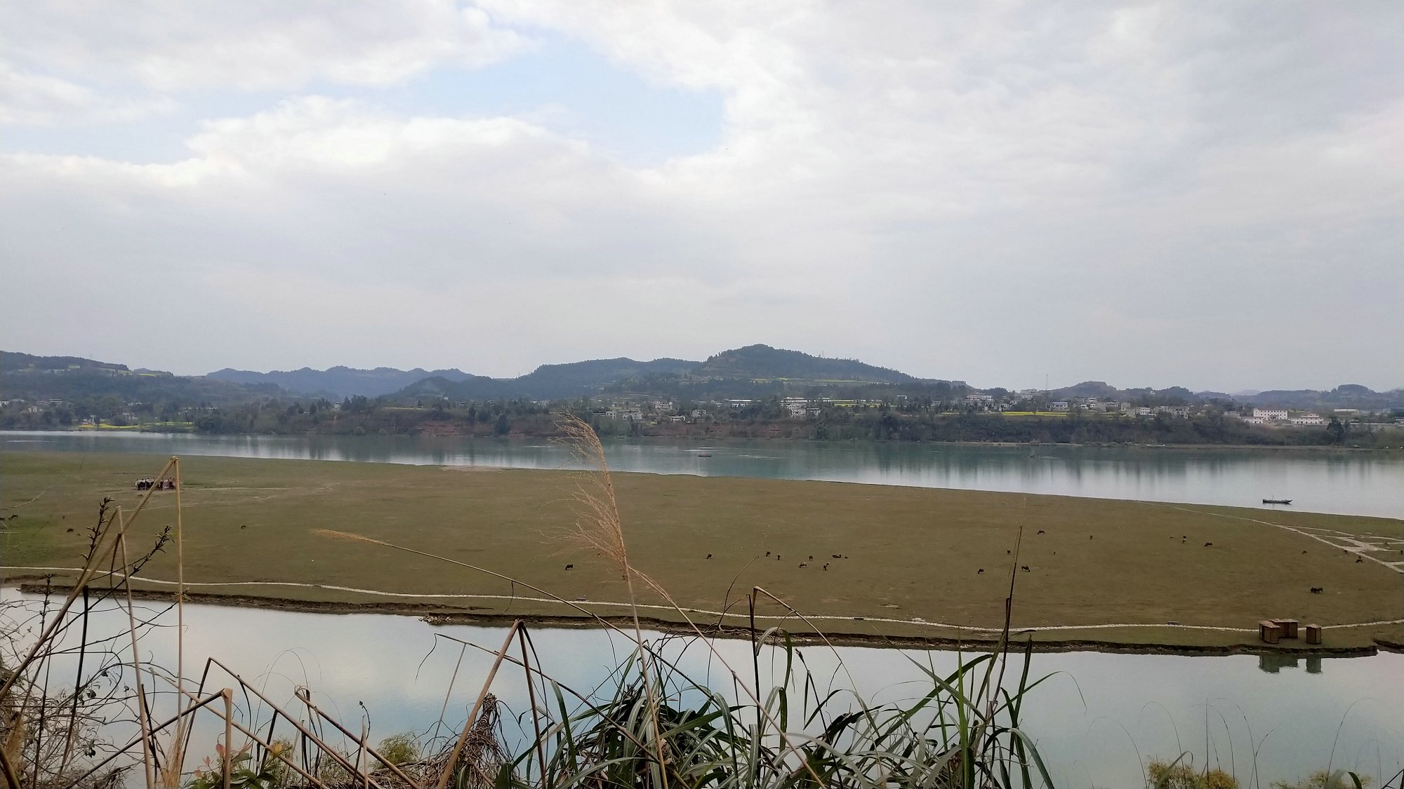 P00312-161252.jpg