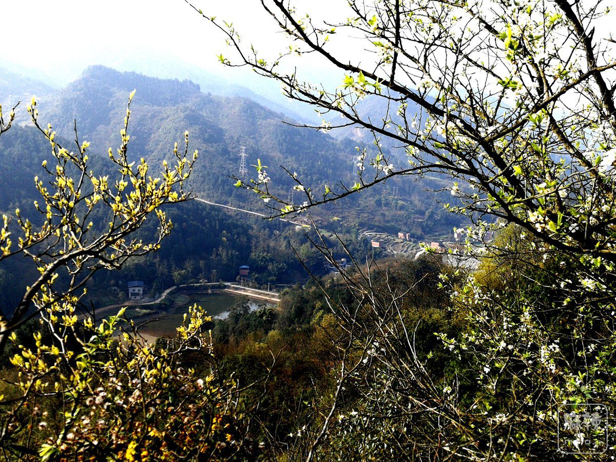IMG_20200318_114455_.jpg
