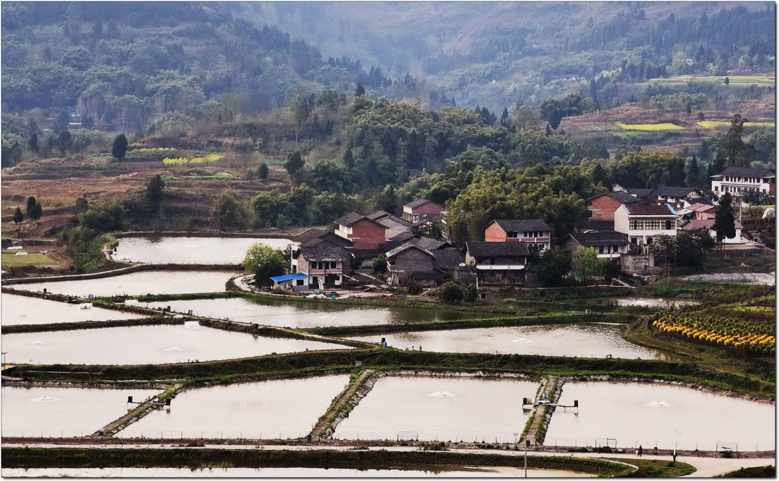 行走在大地花谷