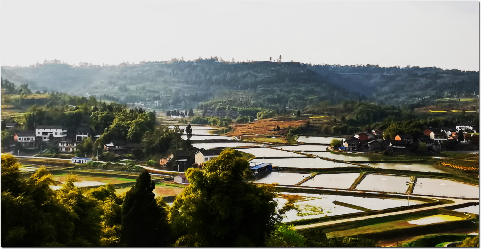 行走在大地花谷
