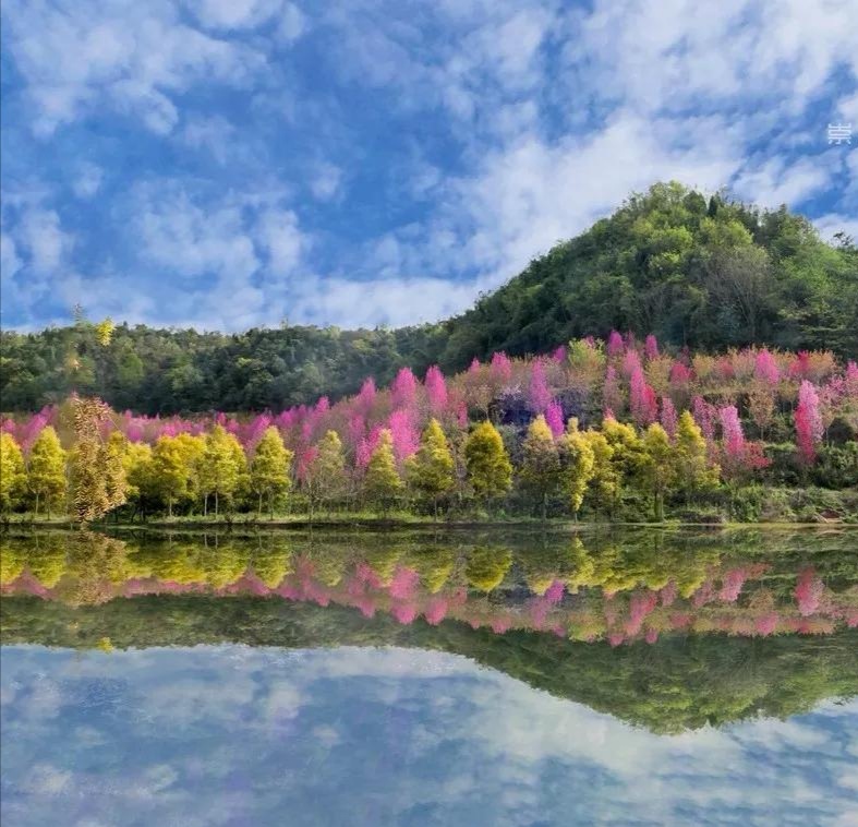 崇州红旗村桃花源图片