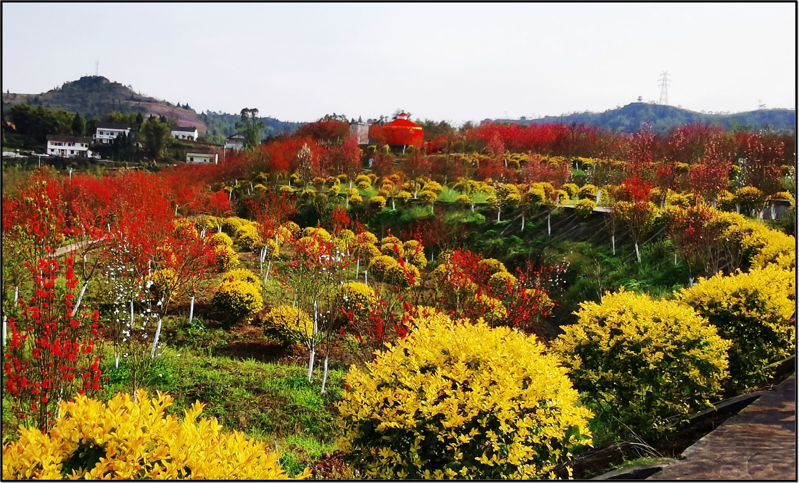 广安大地花谷门票图片