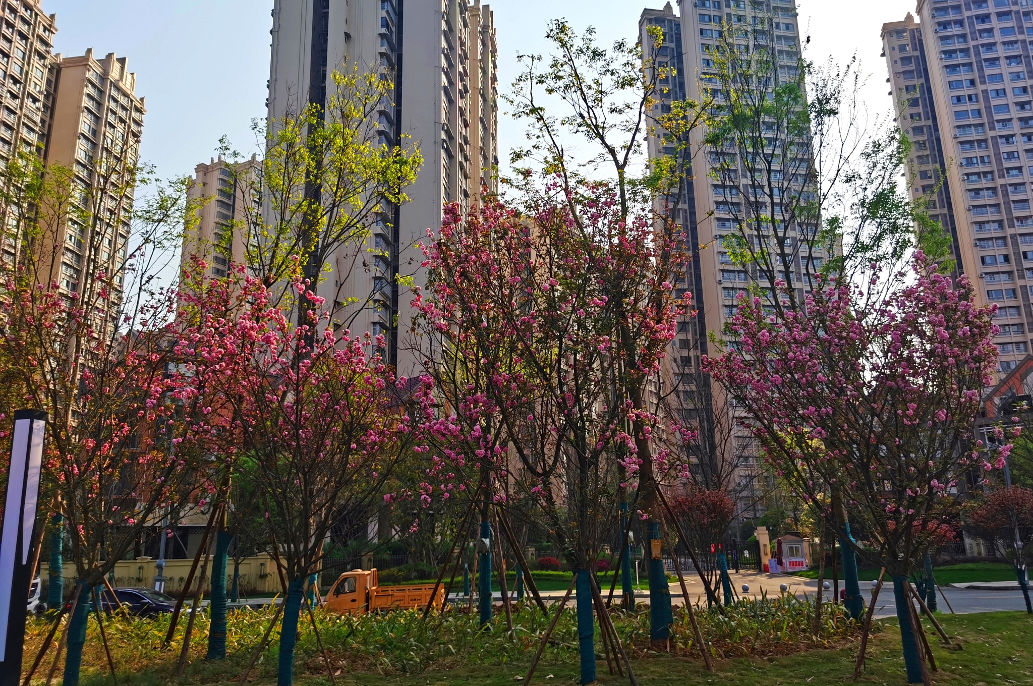 IMG_20200323_093616_ͼ.jpg