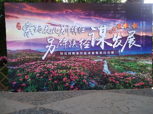 IMG_20200326_090709.jpg