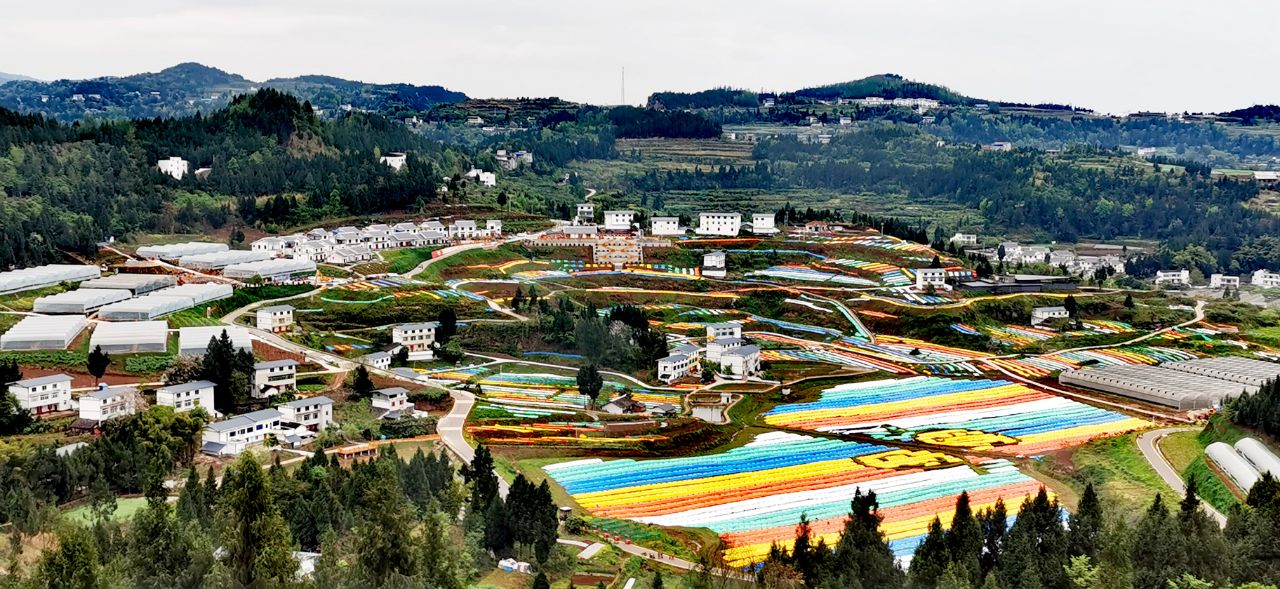 川北彩土地(仪陇县三条沟)