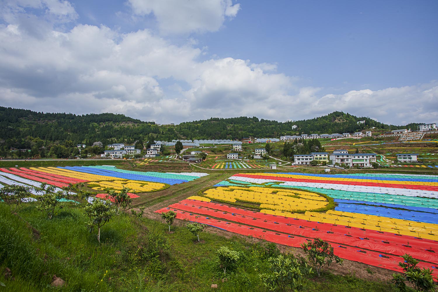 去安溪潮访友,经过隔壁仪陇县新政镇三条沟村