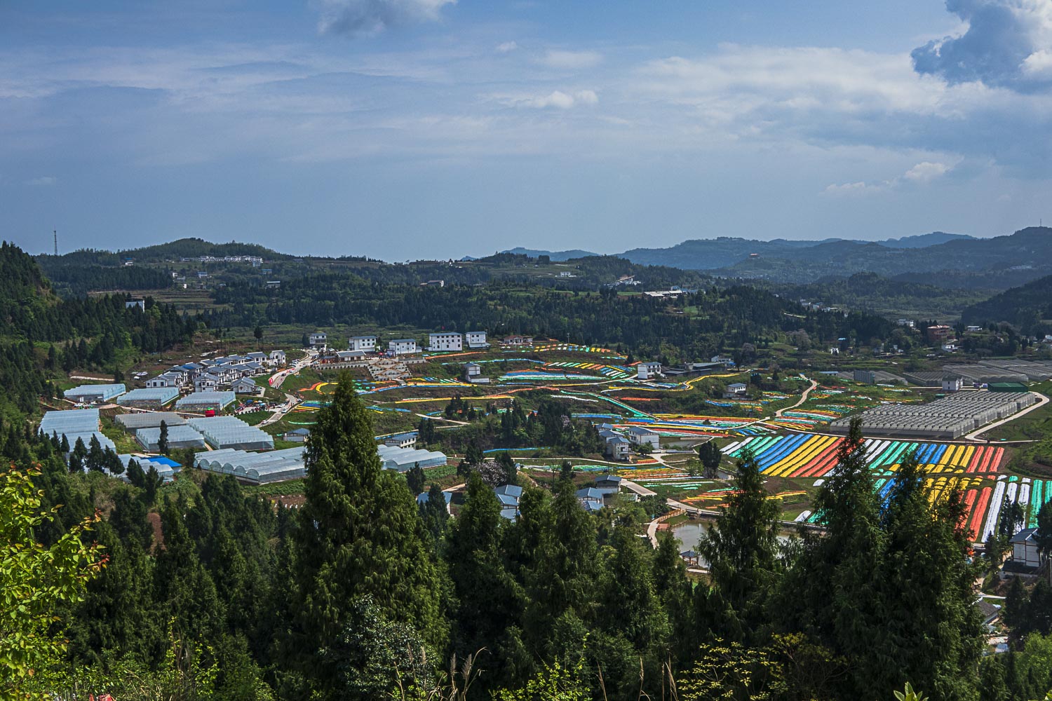 南充市仪陇县新政镇图片