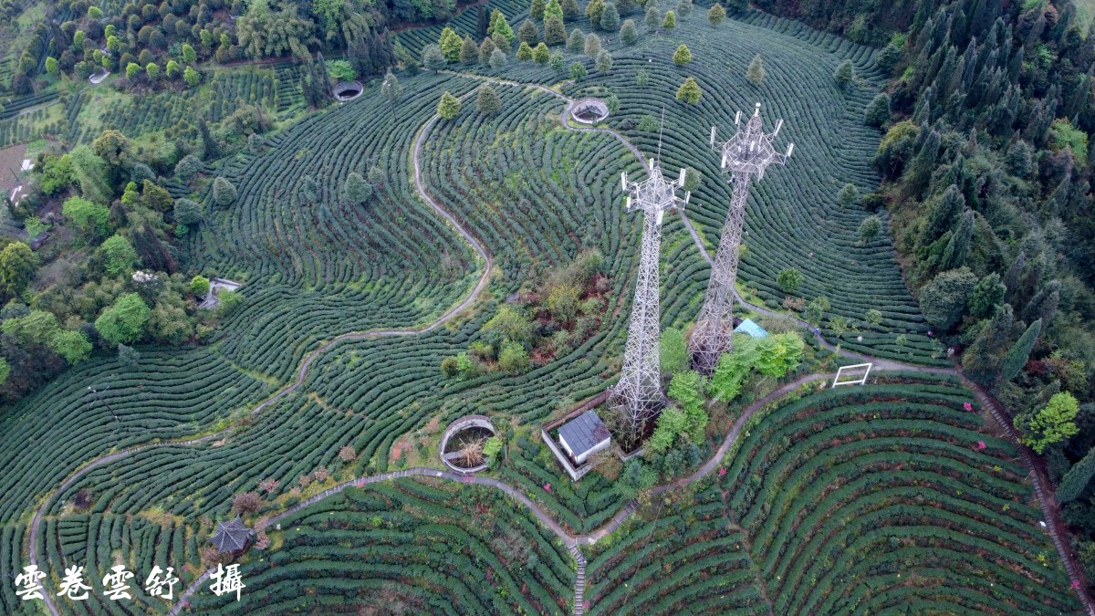 春天裡溫潤迷濛美麗的茶溪谷