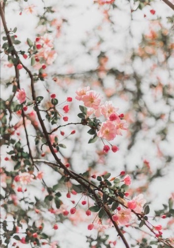 46ACC4CC-4F38-459A-A060-5685BC2F6055.jpeg