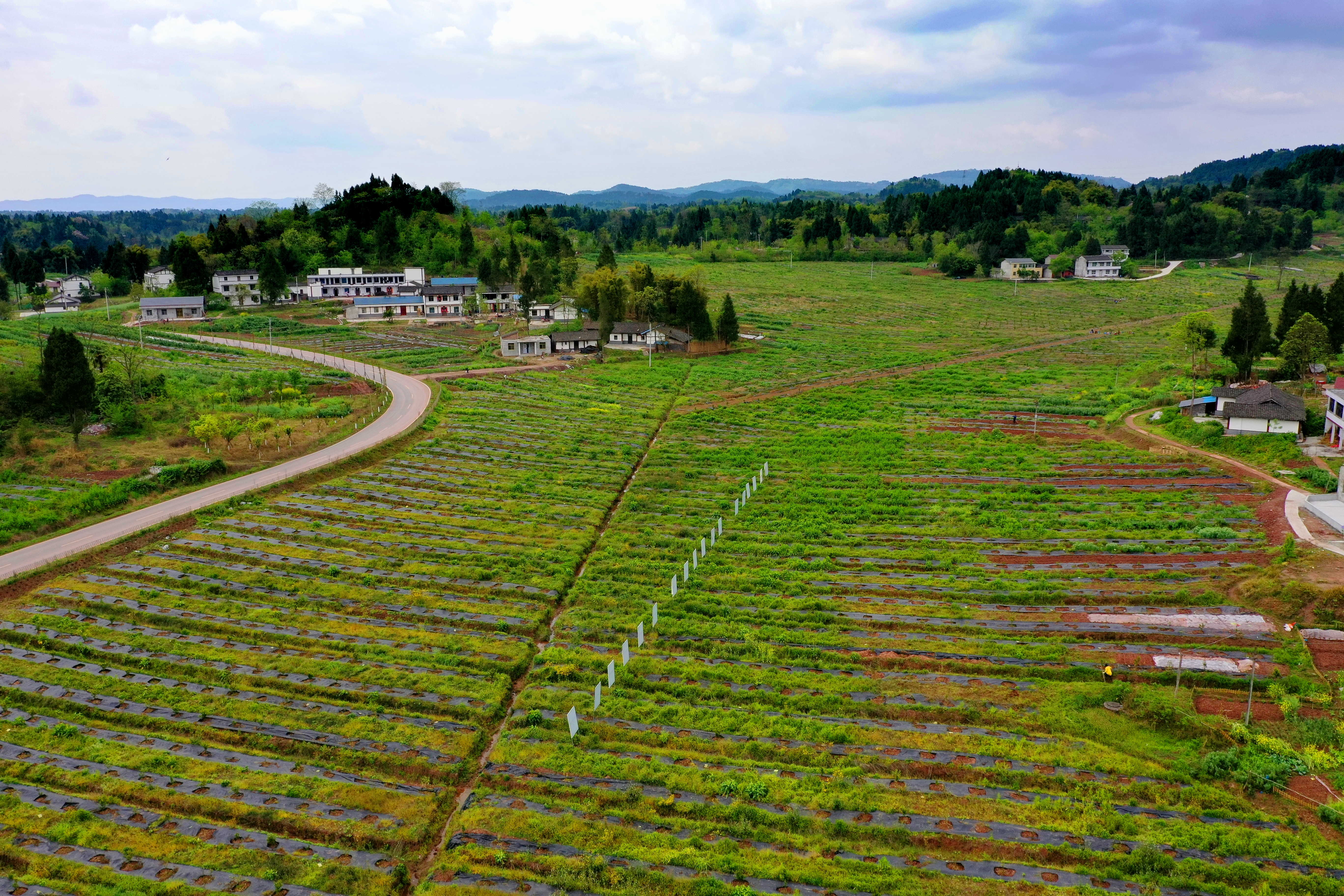 DJI_0368_dh.JPG