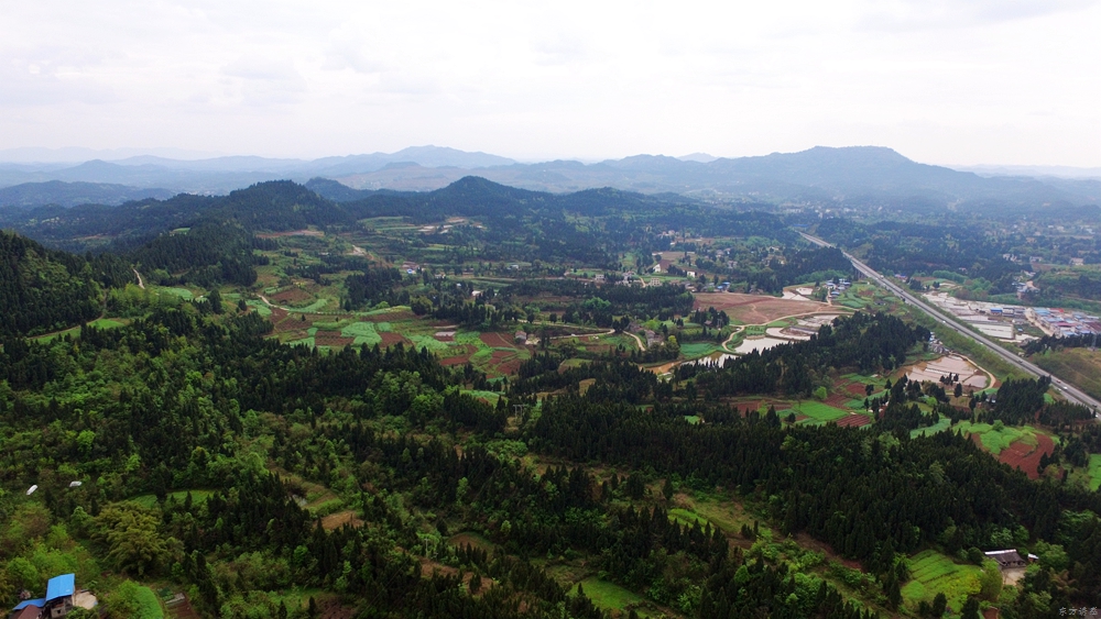 160350oon0m96sssiiwm4j.jpg