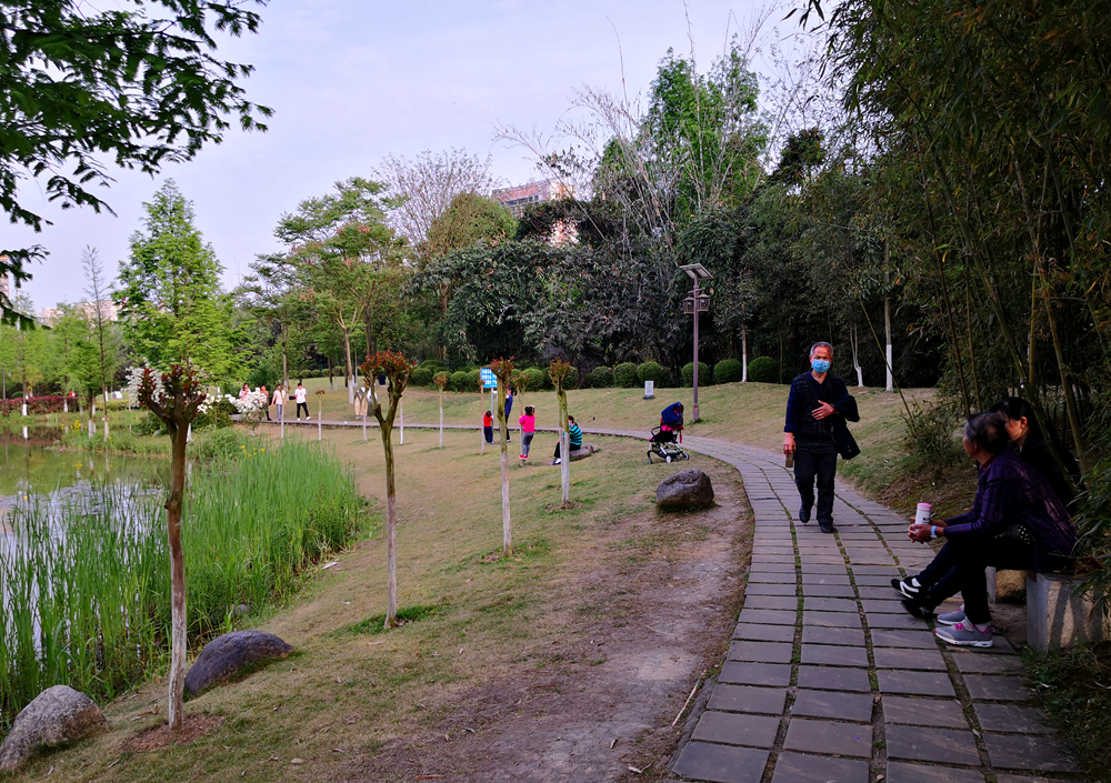 IMG_20200409_174152_.jpg