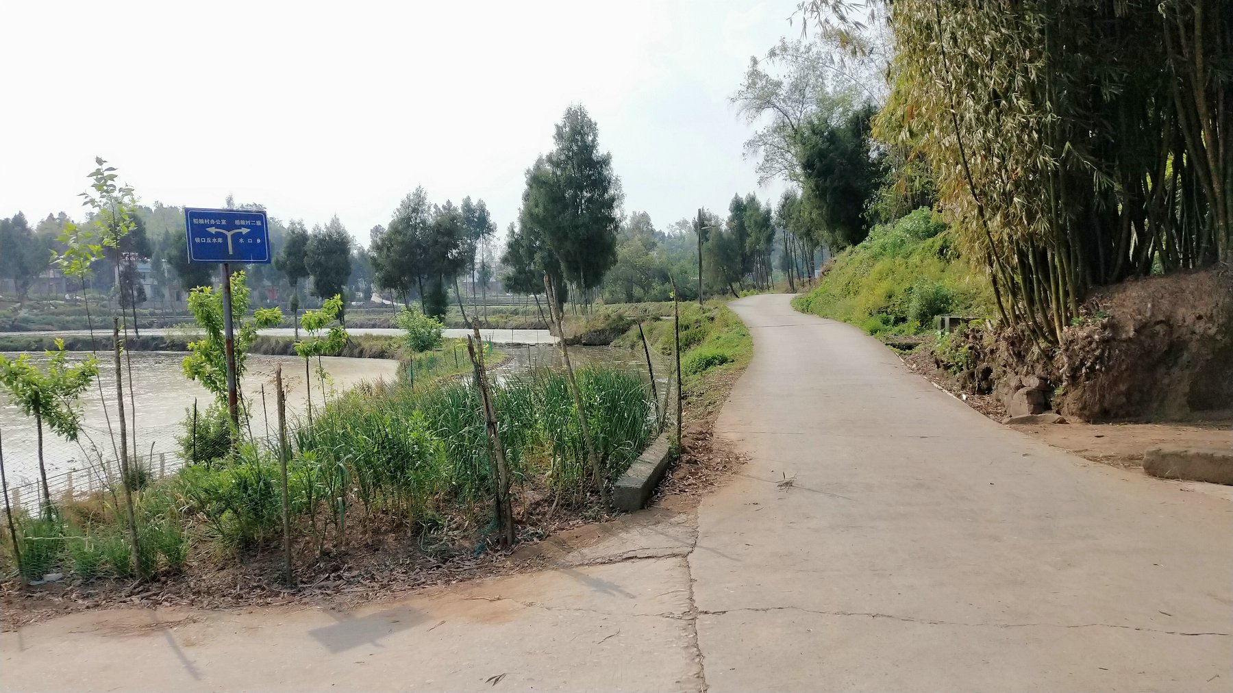P00408-155649.jpg