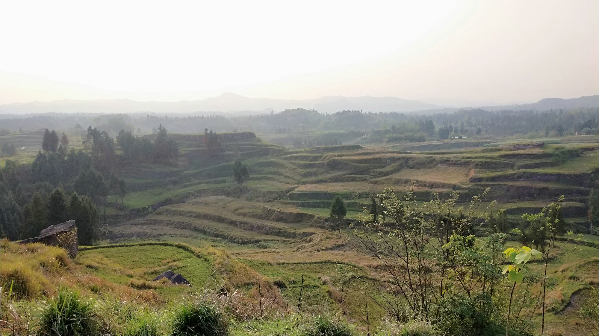 P00408-175817.jpg