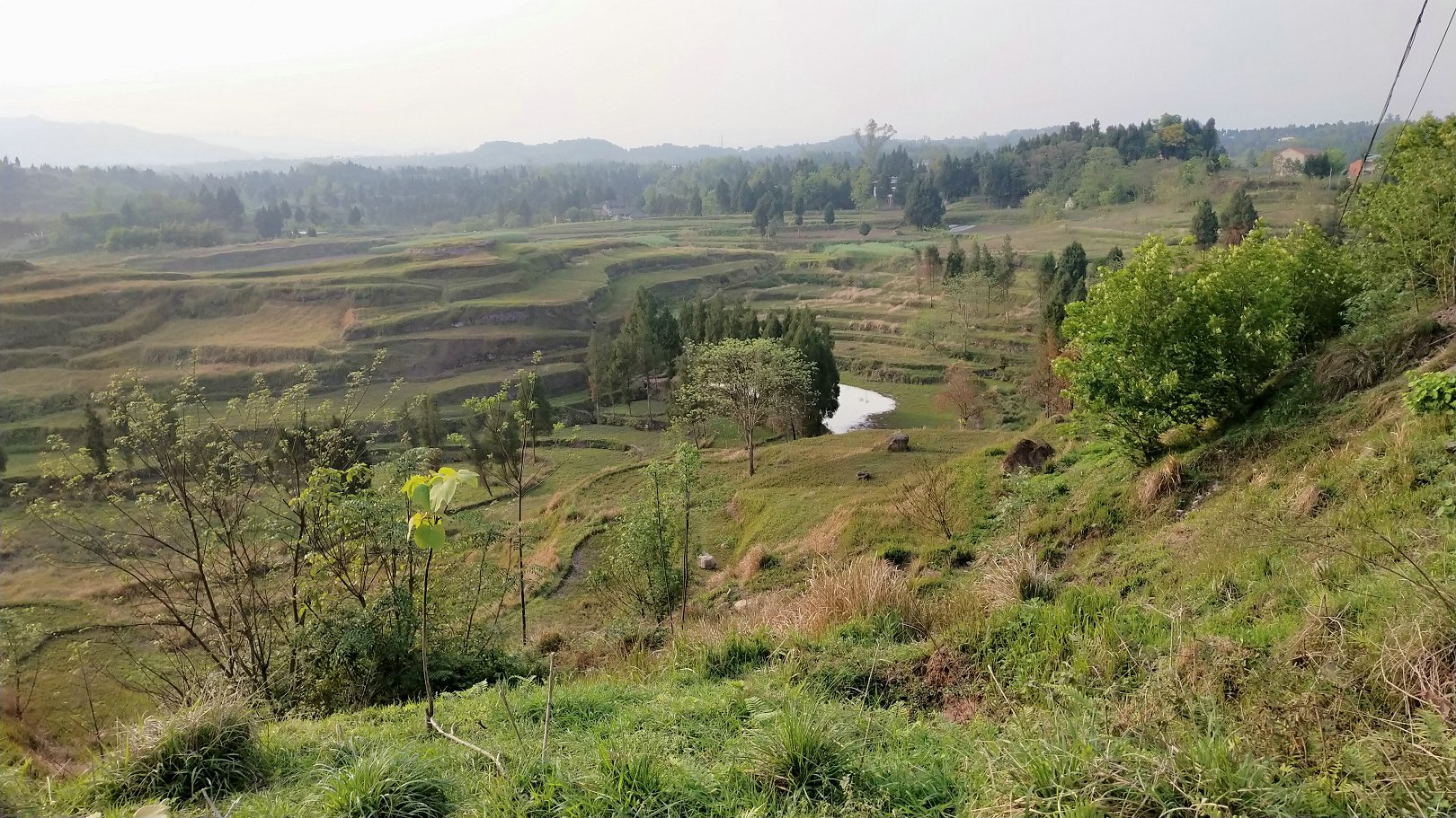 P00408-175830.jpg