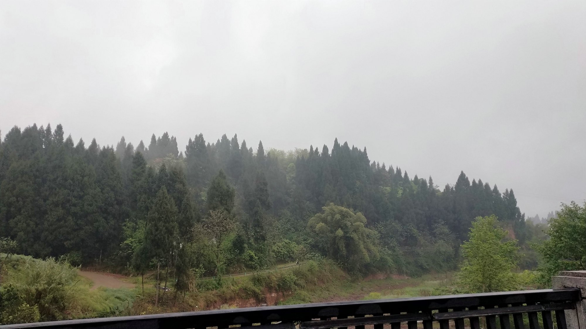 P00410-100350.jpg