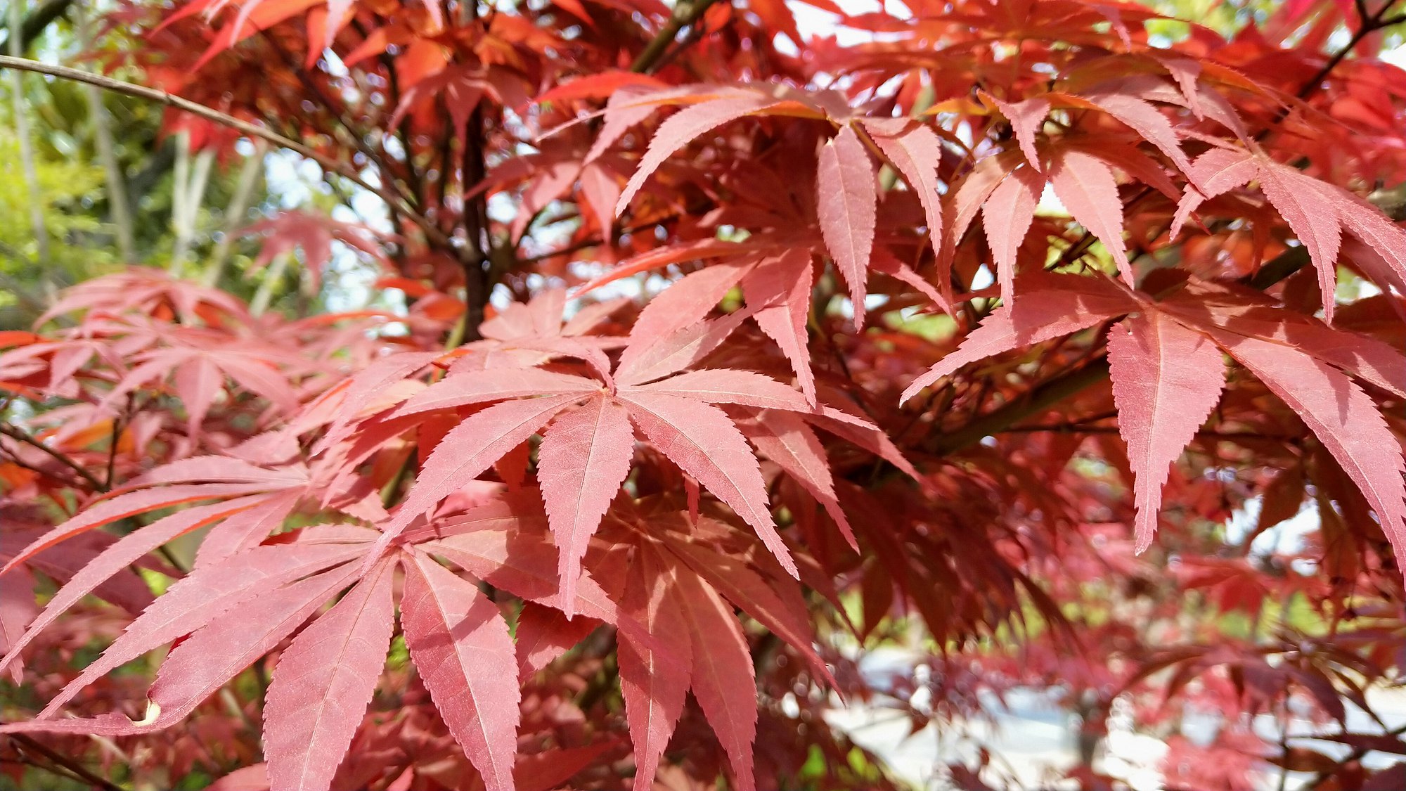 P00411-154344.jpg