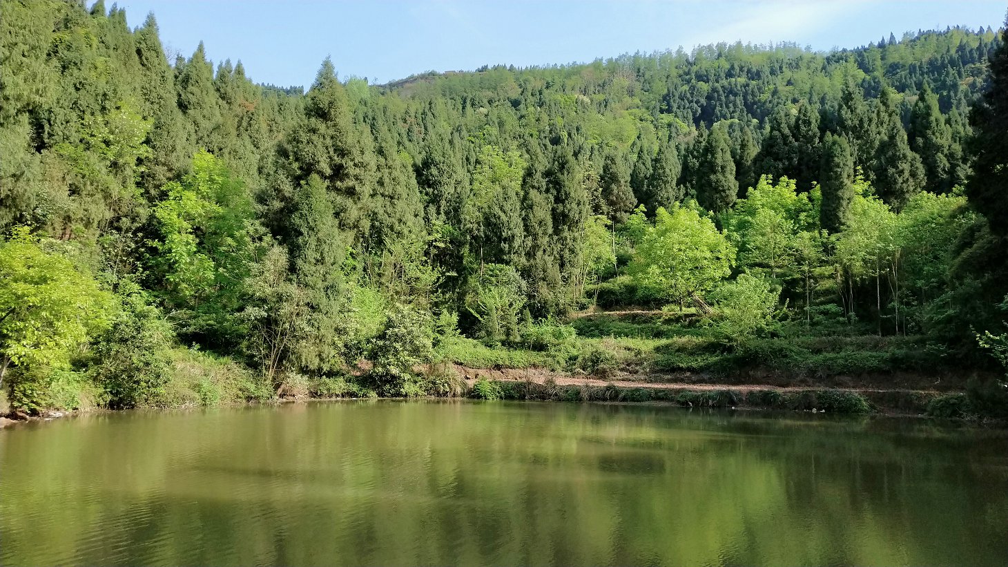 P00411-164249.jpg