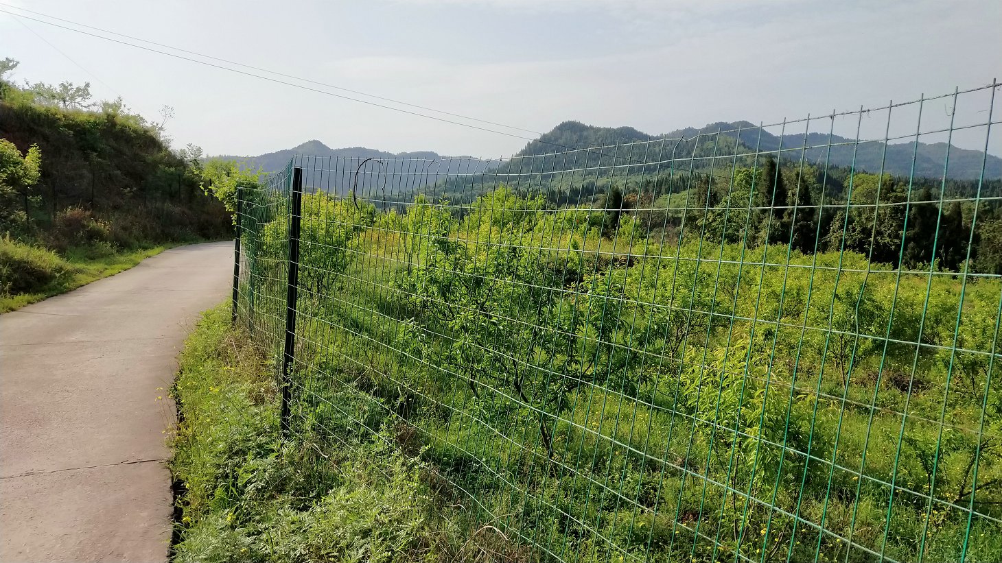 P00411-165259.jpg