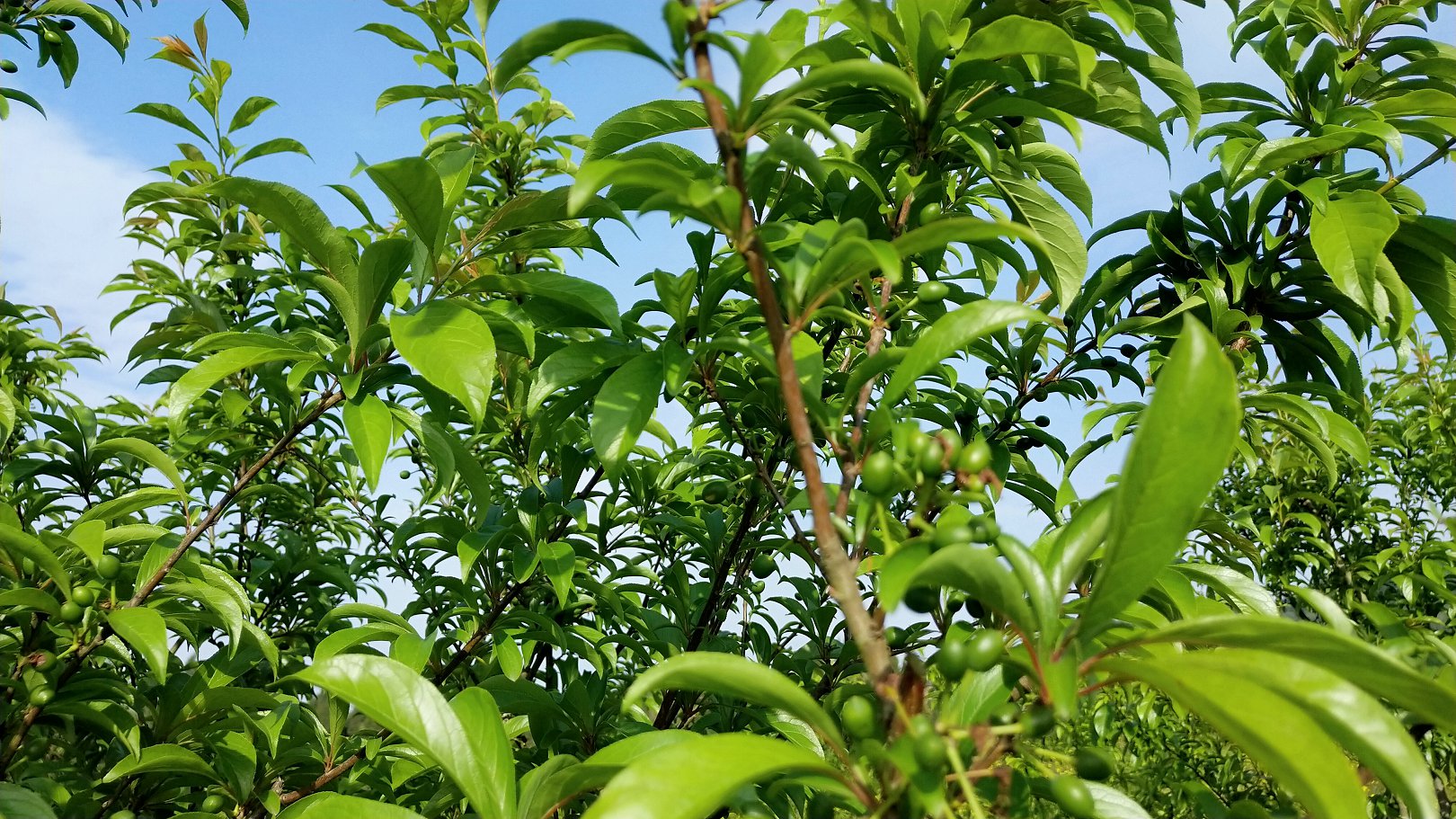 P00411-165720.jpg