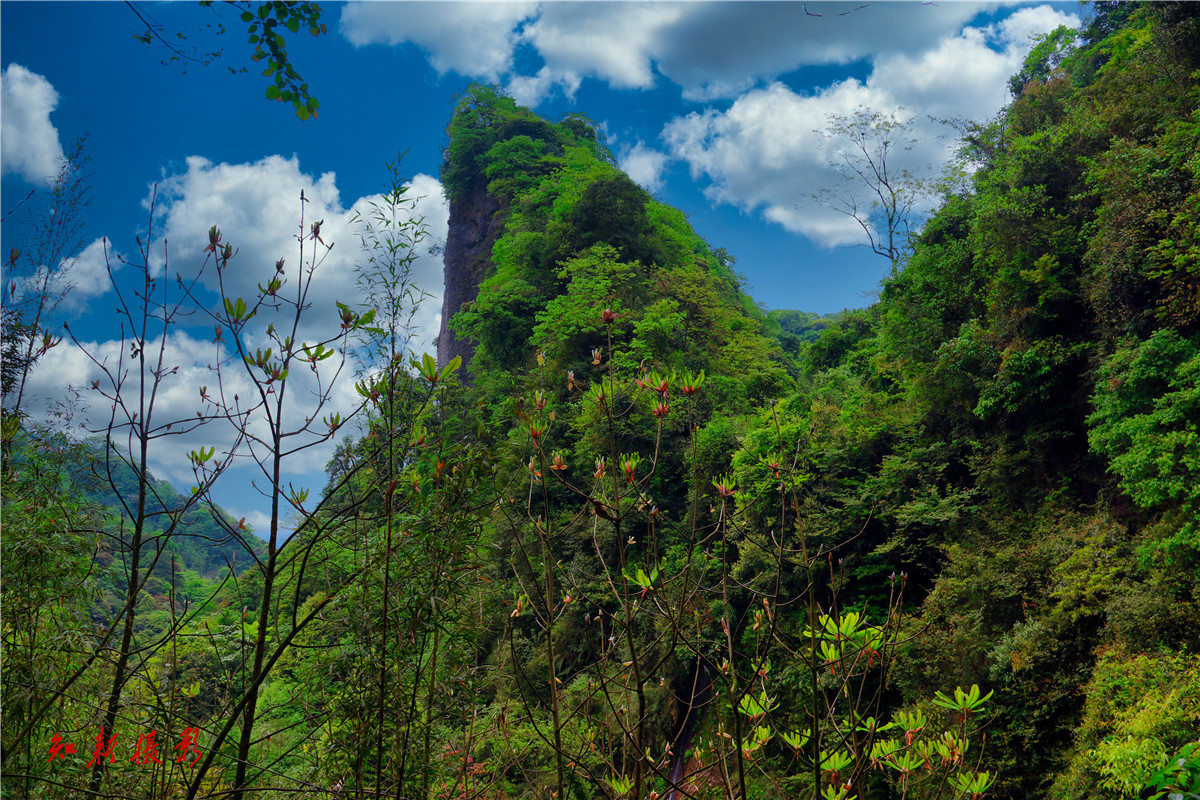 贺州姑婆山攻略,贺州姑婆山门票/游玩攻略/地址/图片/门票价格【携程攻略】