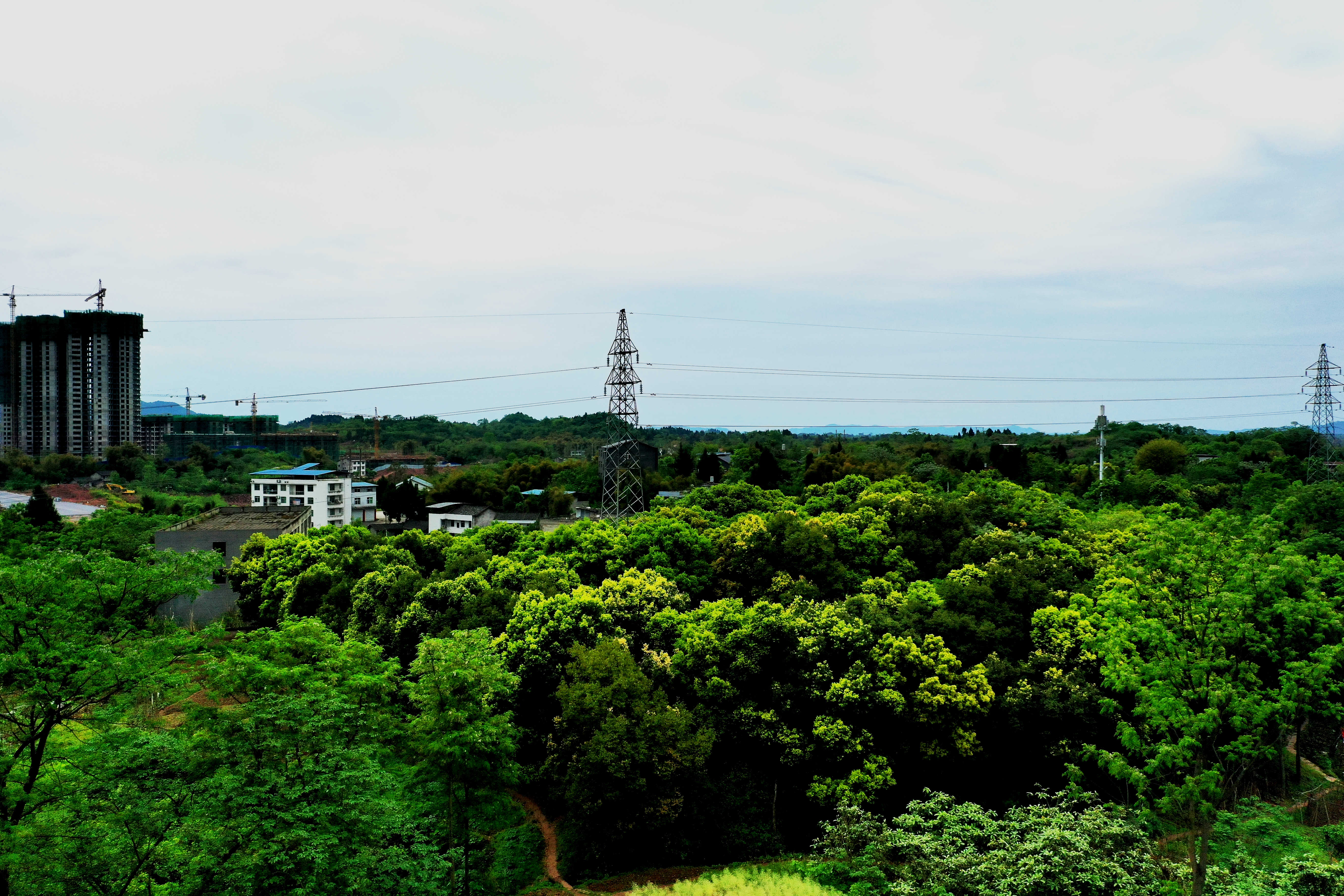 DJI_0649.jpg