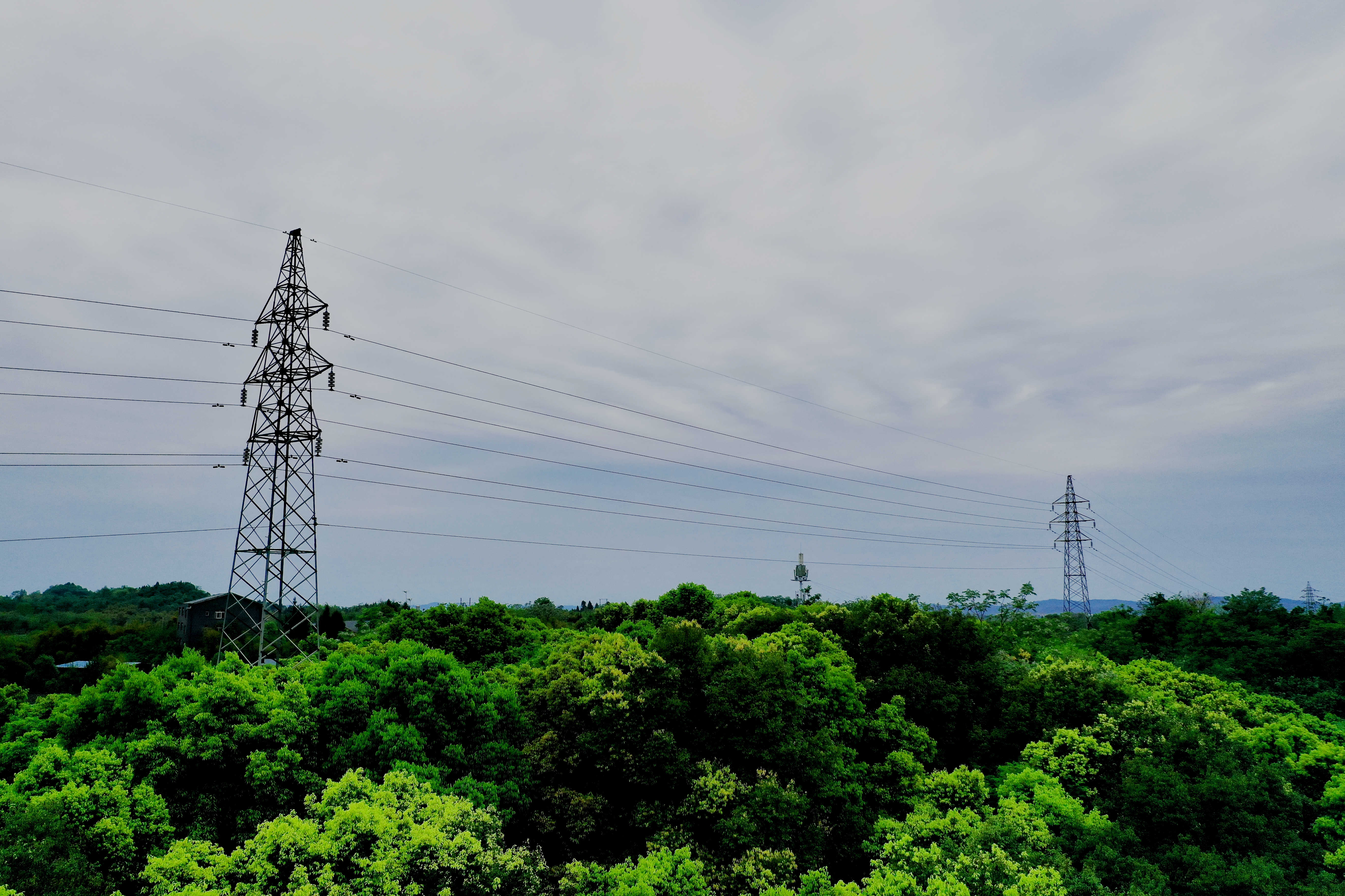 DJI_0663.jpg