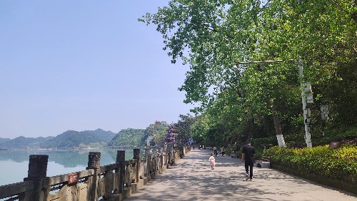 IMG_20200412_112817.jpg