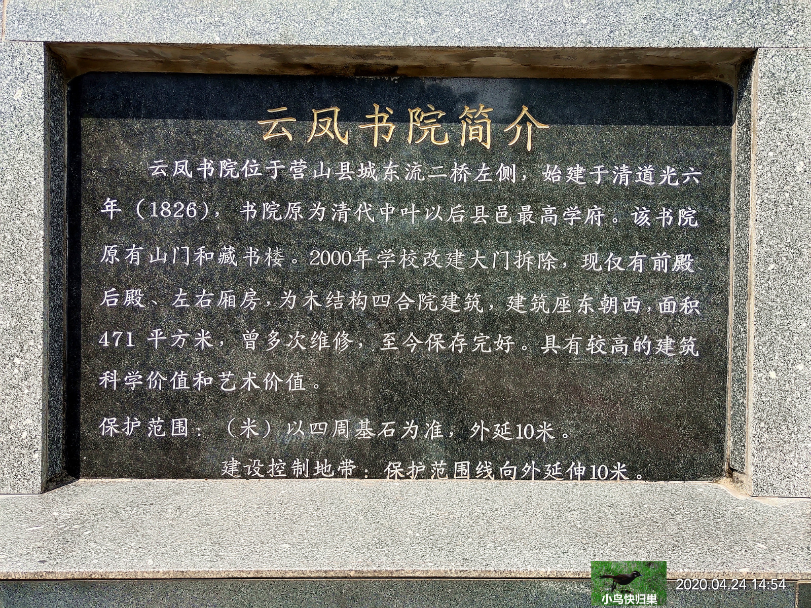 161623dprptinbicdtddng.jpg