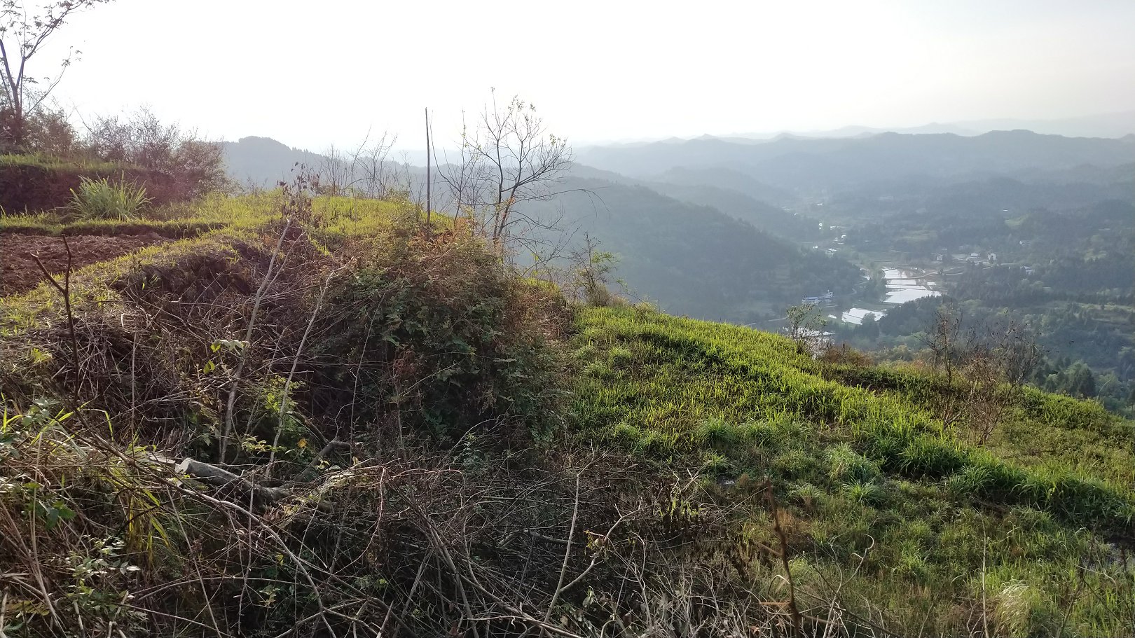 P00423-183039.jpg