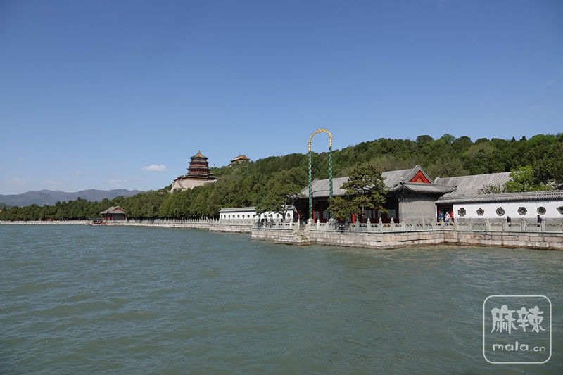 DSC09992 - .JPG