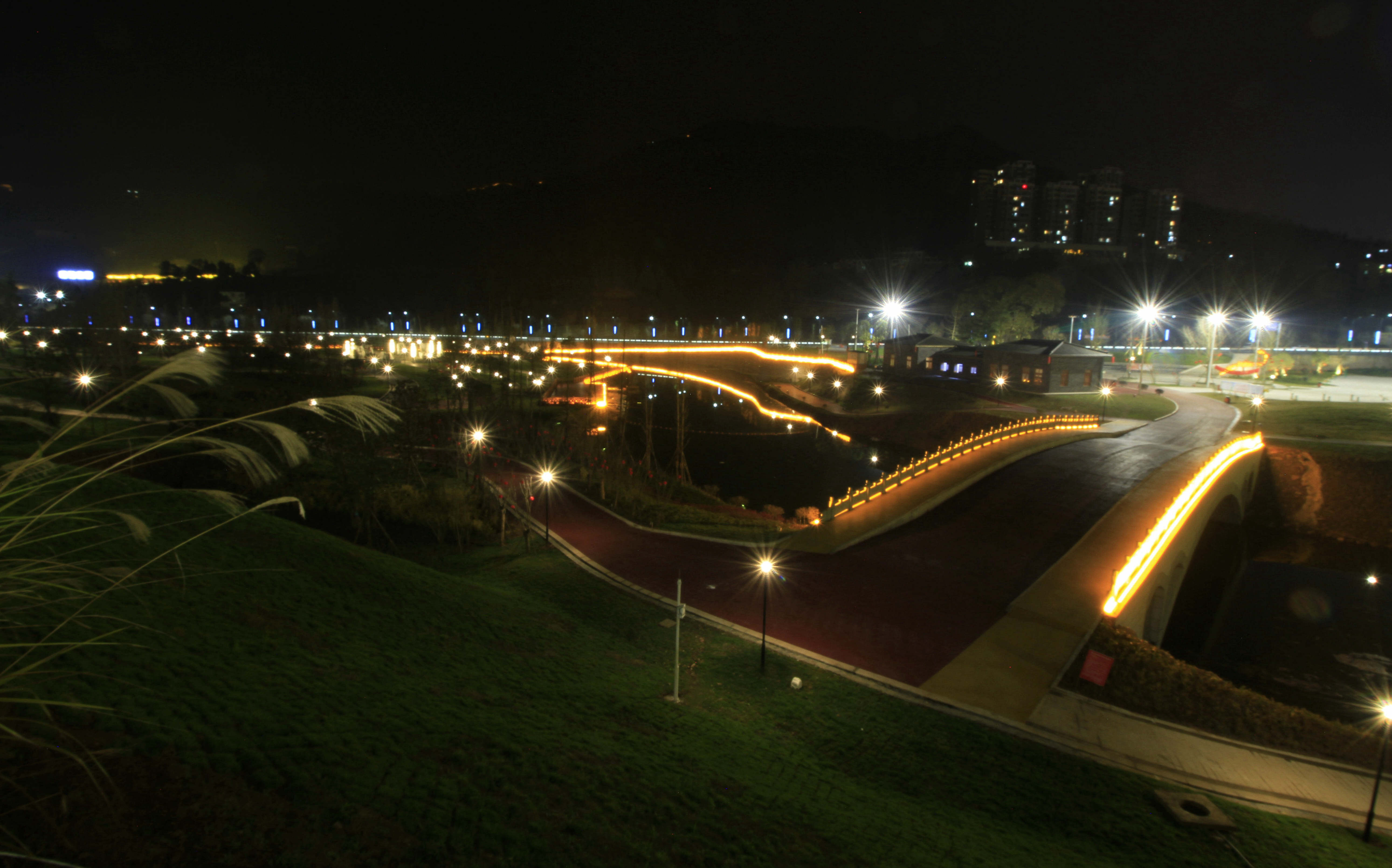 东宝公园夜景图片