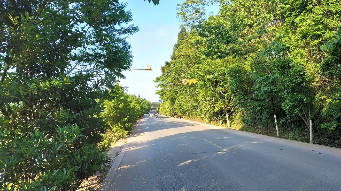 P00426-181017.jpg