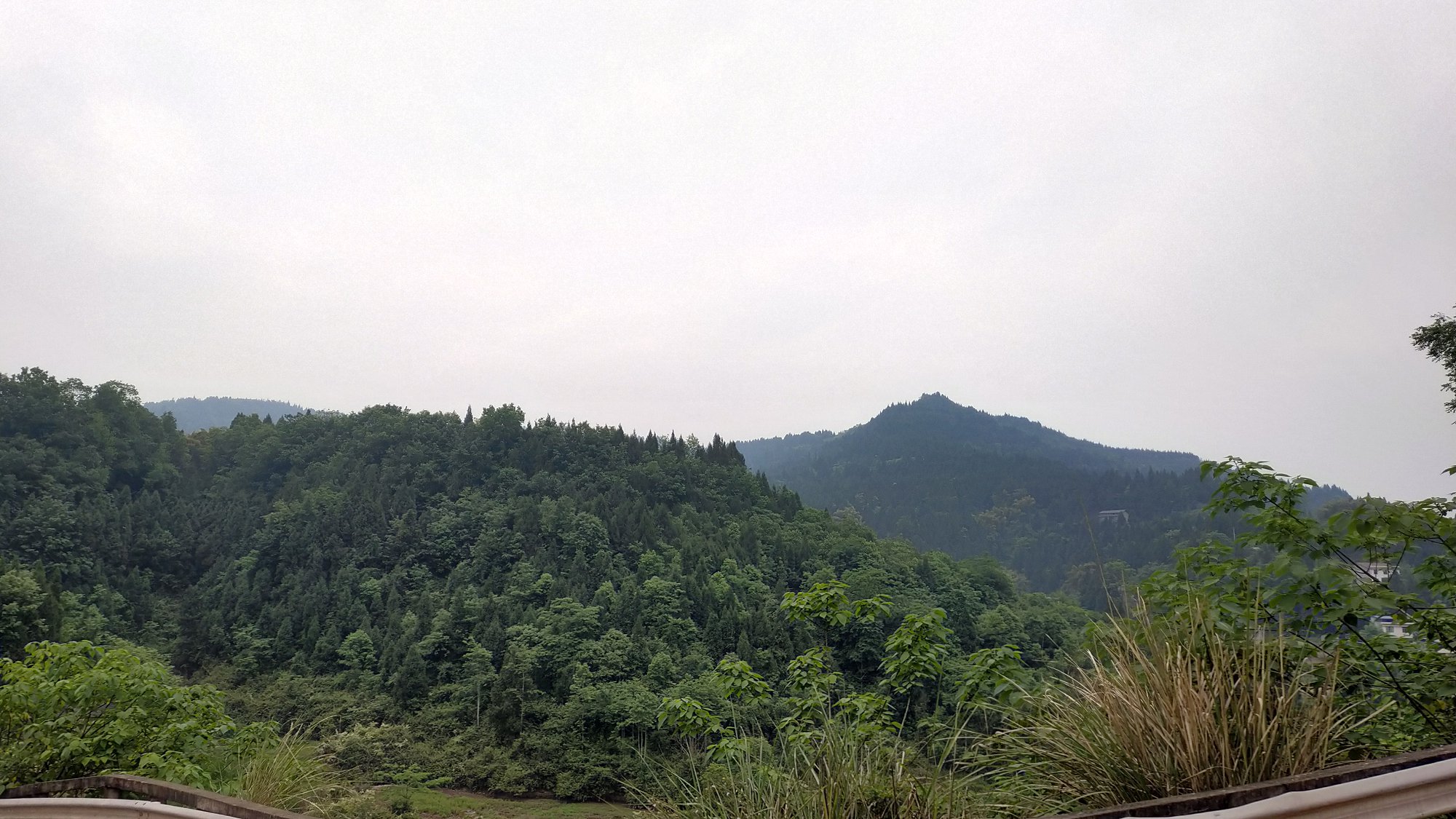 P00430-093642.jpg