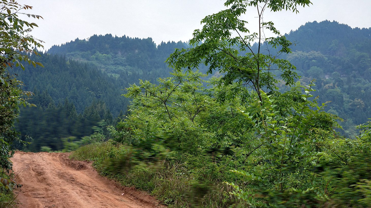 P00430-094233.jpg