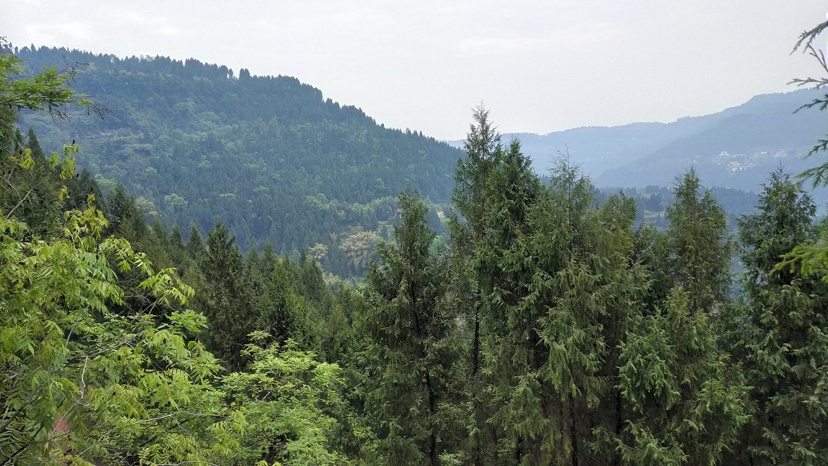 P00430-095159.jpg