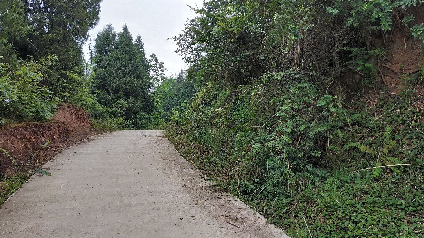 P00430-100357.jpg