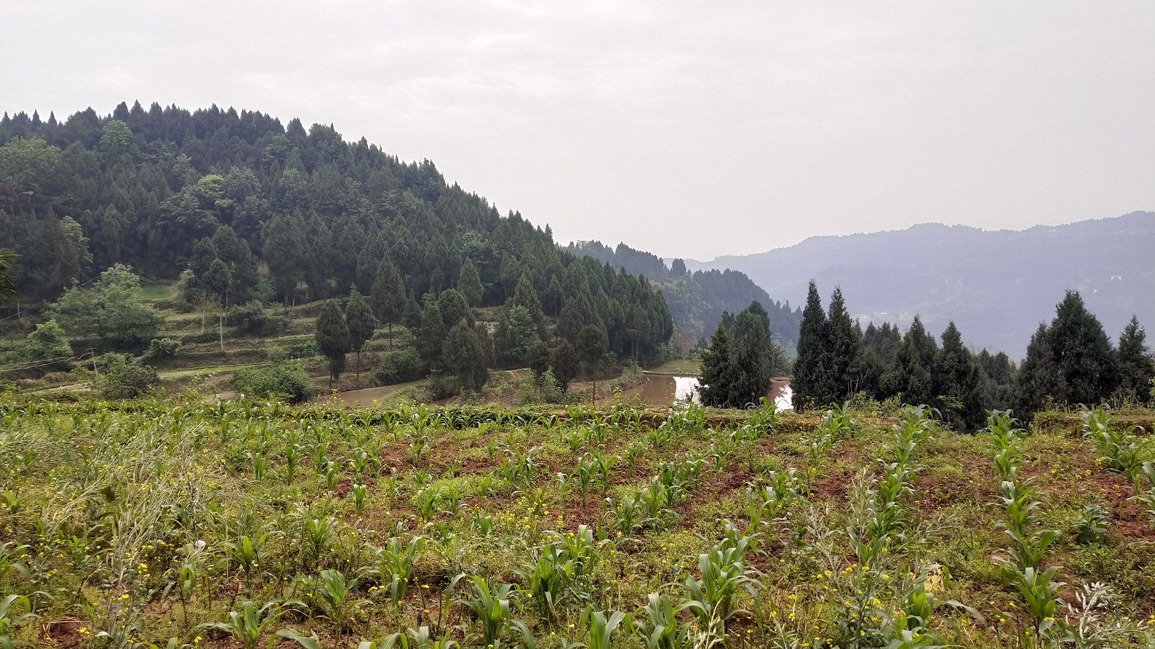 P00430-101124.jpg