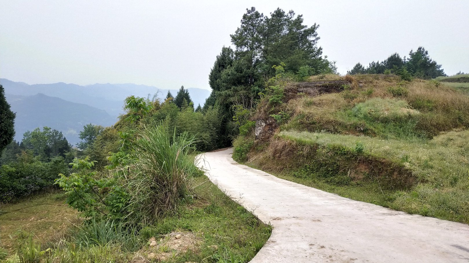 P00430-102326.jpg