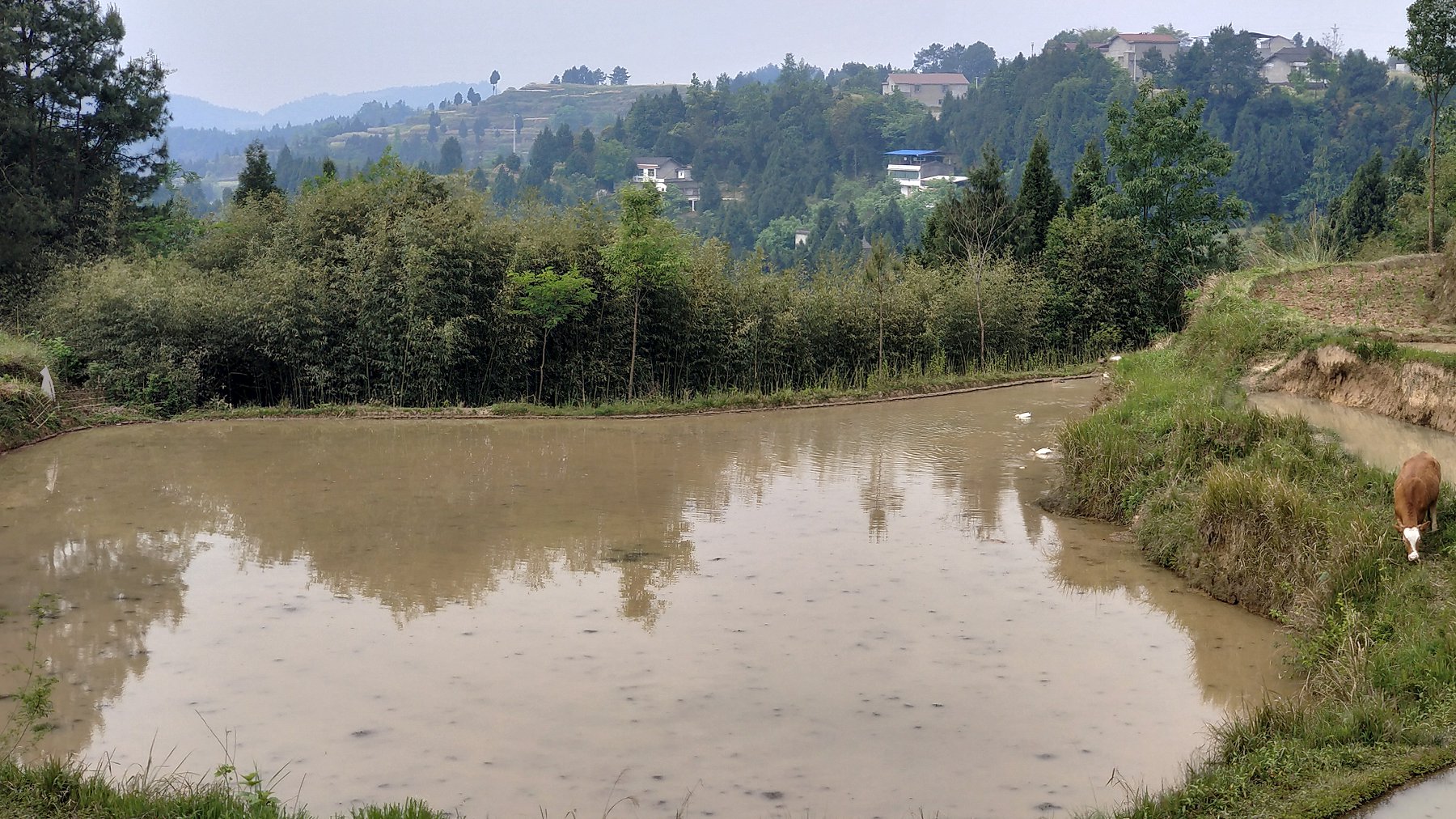 P00430-103433.jpg