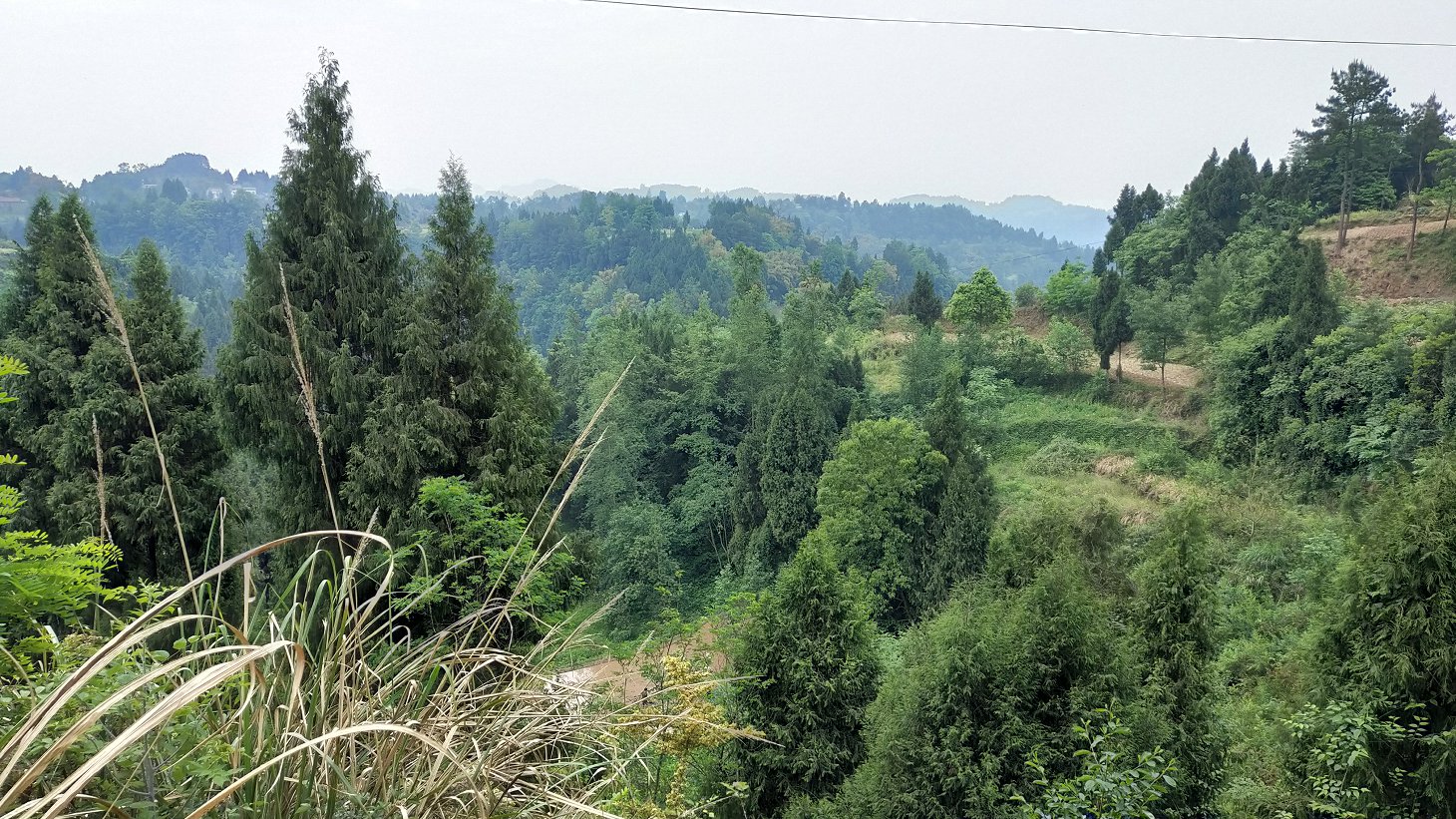 P00430-104533.jpg