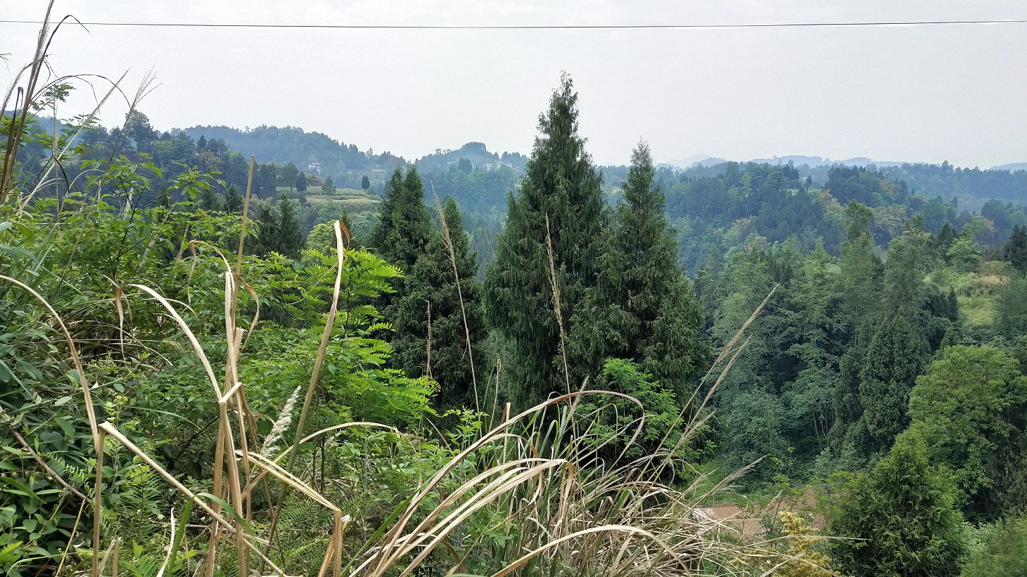 P00430-104537.jpg
