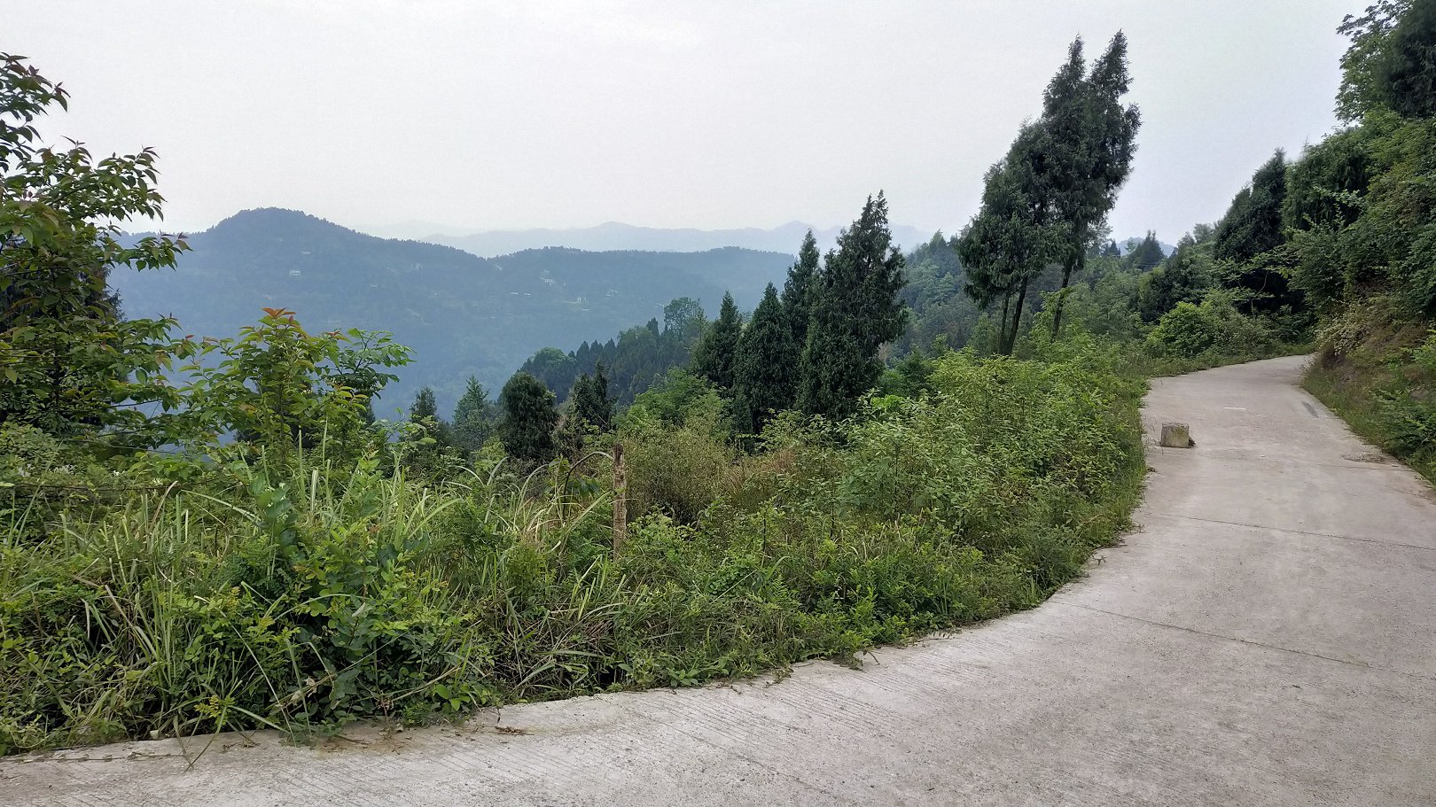 P00430-105752.jpg