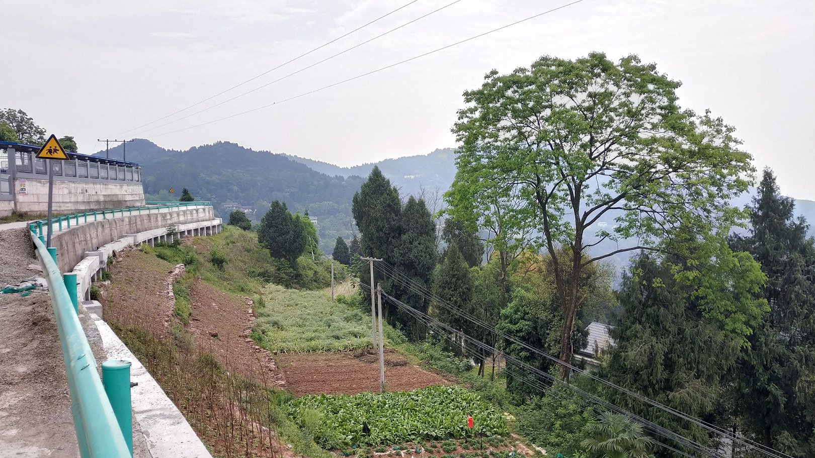 P00430-110920.jpg