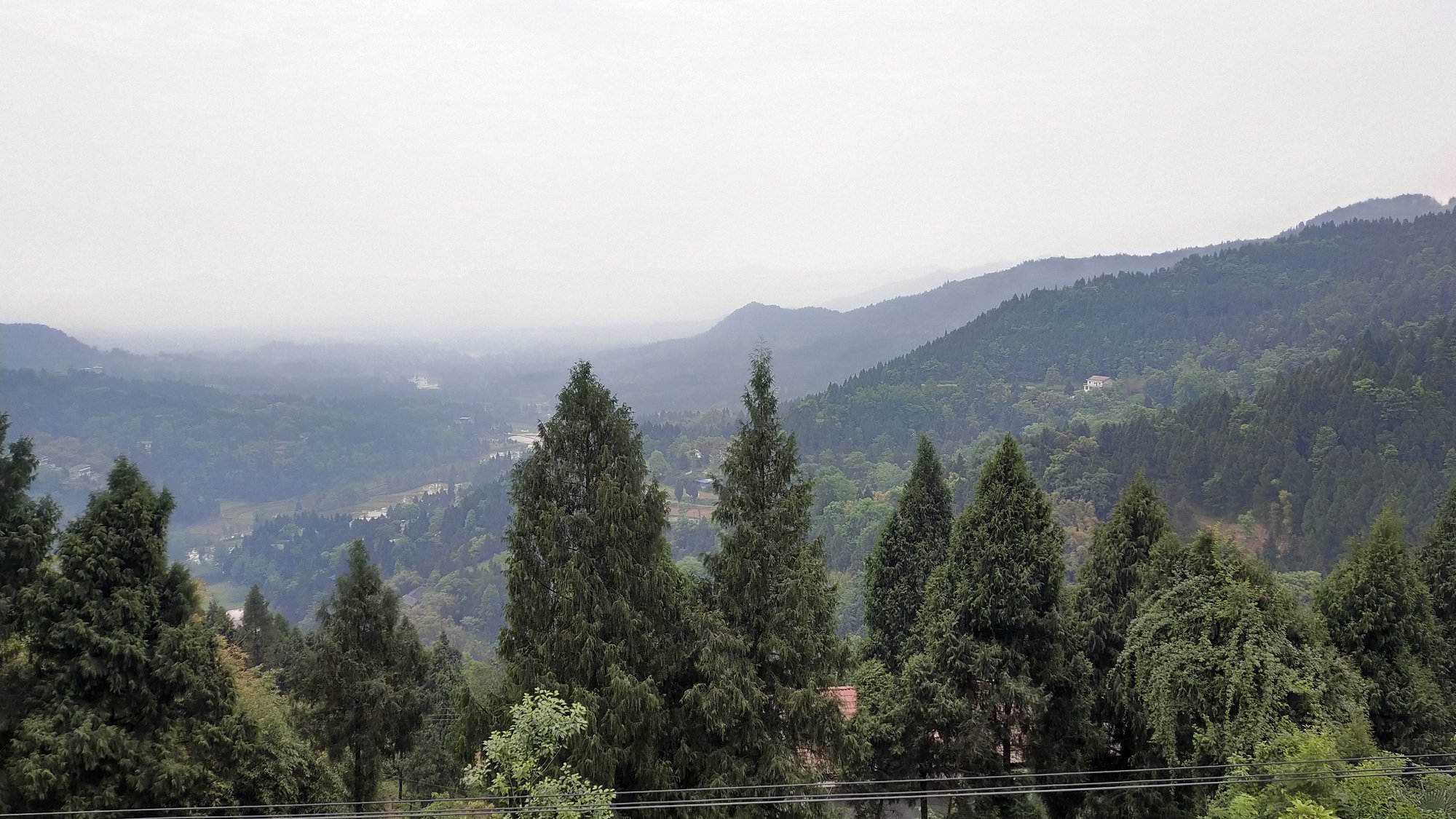P00430-110925.jpg