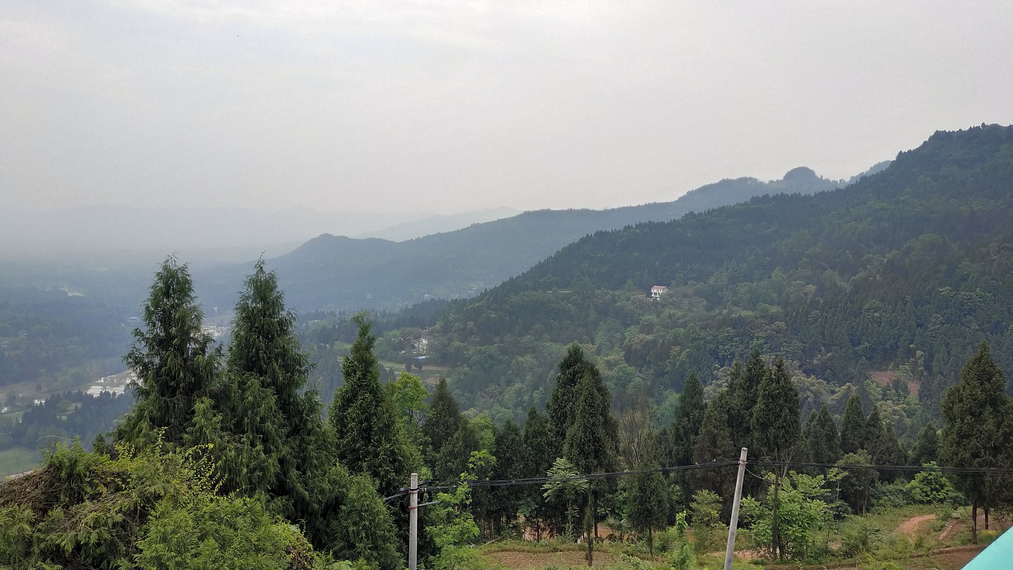 P00430-111141.jpg