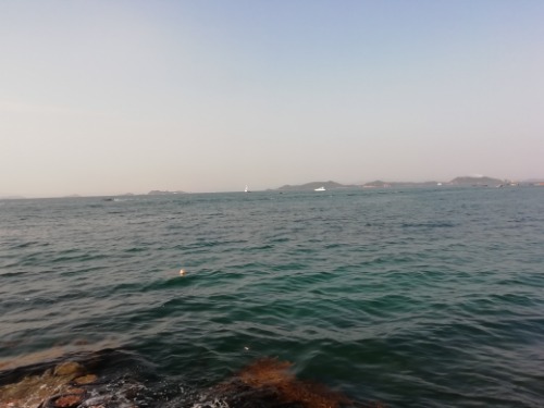 IMG_20200503_171314.jpg