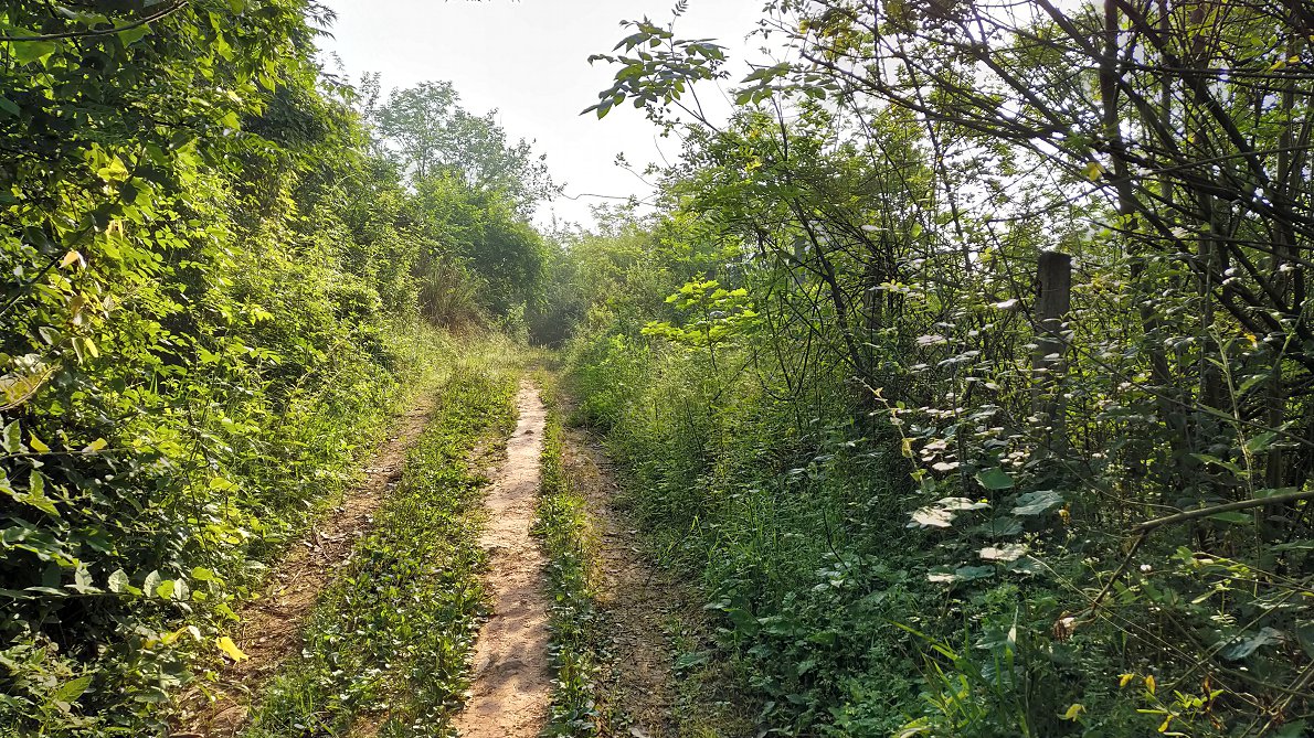 P00502-082832.jpg