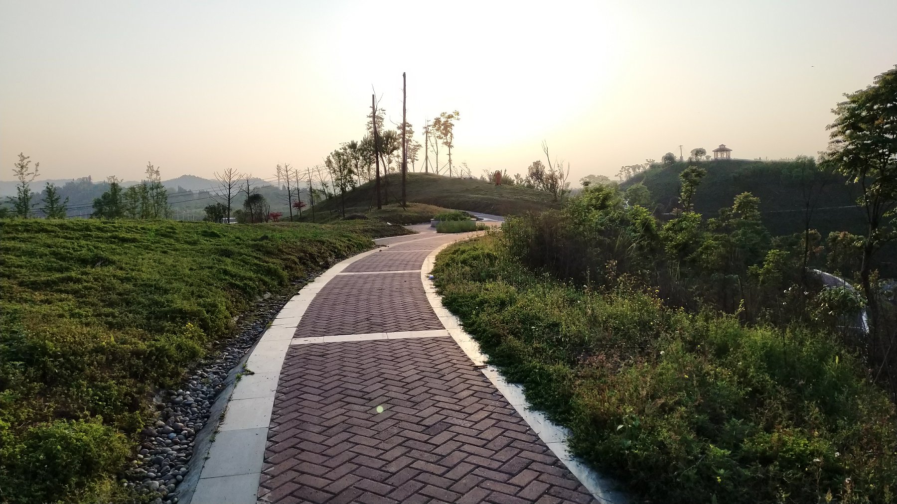 P00424-184403.jpg
