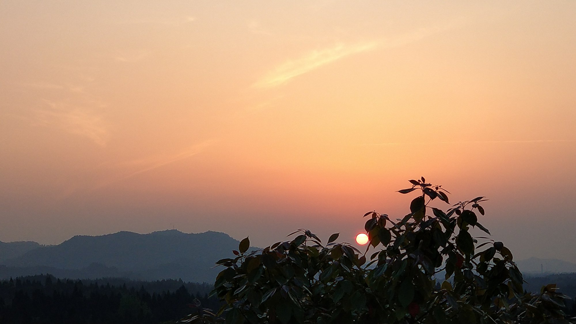 P00424-191839.jpg